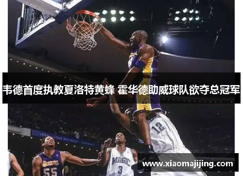韦德首度执教夏洛特黄蜂 霍华德助威球队欲夺总冠军